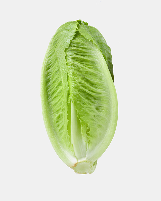 Foto de lechuga